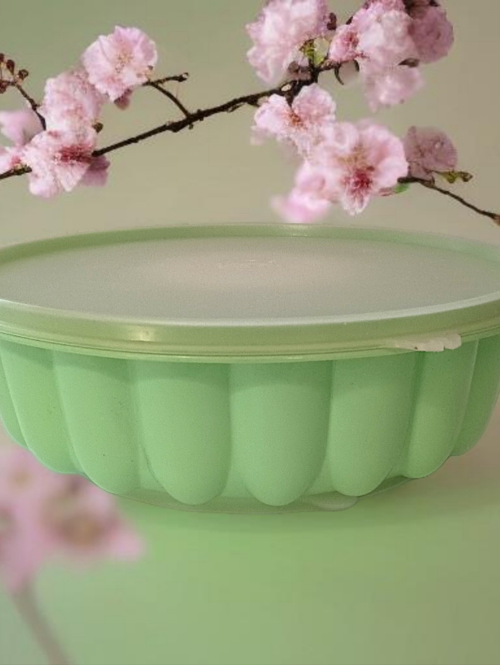Tupperware Jel N Serve Jello Mold Green 5 Cup Plastic Lid Vintage 1970s Jadeite